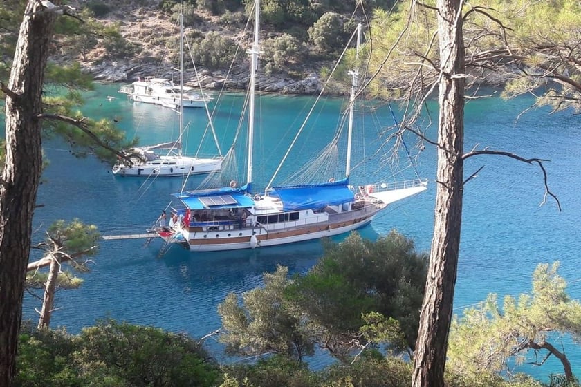 Gocek Gulet 6 cabin 12 berths 12 guests 29 m Listing Number: #10317 3
