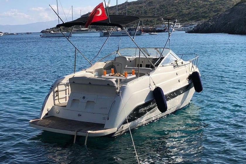 Bodrum Yate a motor Cabina 1  4  literas 4  invitados 7.4 m Número de anuncio: #12315 3