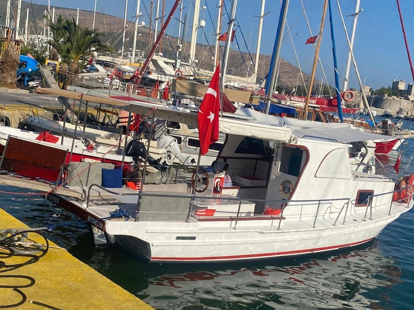 Bodrum Gulet   Seyir 4 kişi 9 m İlan No: #12503 3