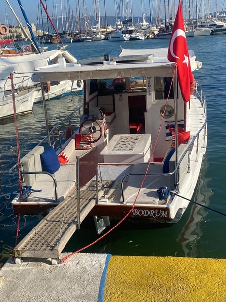 Bodrum Gulet   Seyir 4 kişi 9 m İlan No: #12503 2