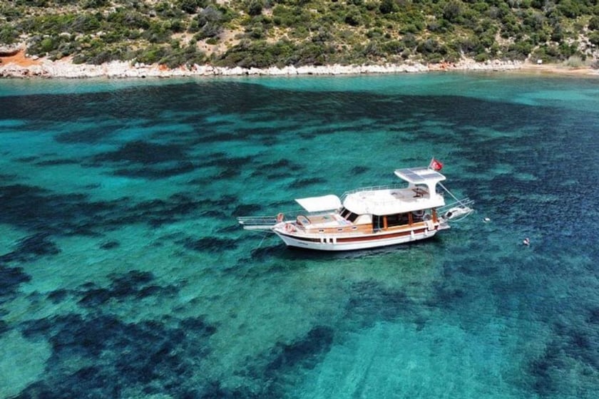 Kas Caicco   14  ospiti 13 m Numero dell'inserzione: #12627 2