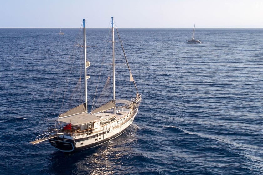 Marmaris Gulet 4 cabin 8 berths 8 guests 24 m Listing Number: #9144 4