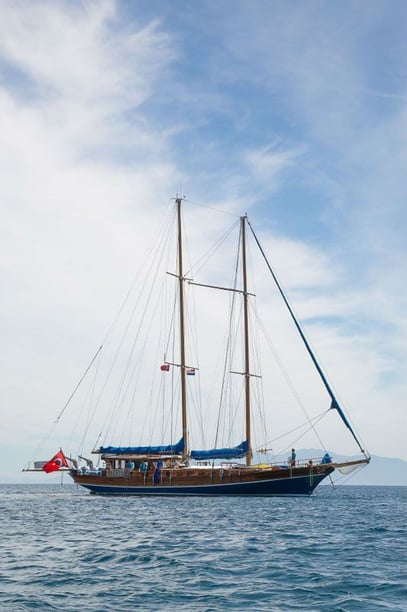 Bodrum Caicco cabina 6  cuccette 12  12  ospiti 25 m Numero dell'inserzione: #9183 2