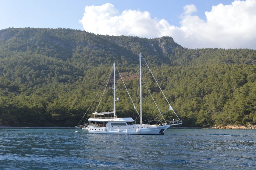 Bodrum Caicco cabina 6  cuccette 12  12  ospiti 30 m Numero dell'inserzione: #9350 2
