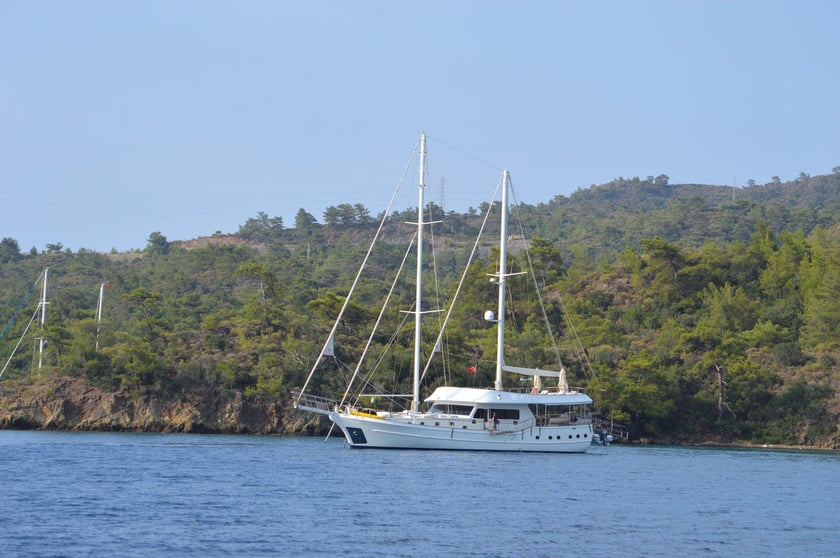 Bodrum Caicco cabina 6  cuccette 12  12  ospiti 30 m Numero dell'inserzione: #9350 3