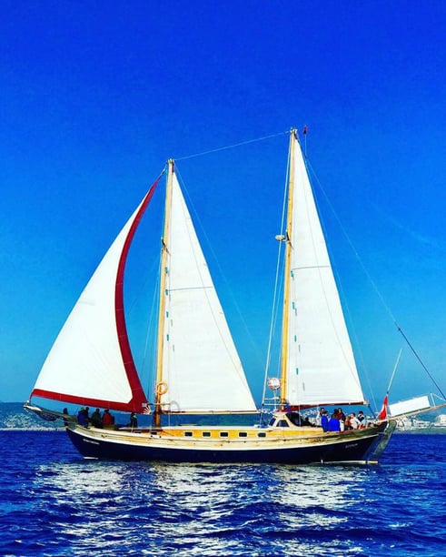 Bodrum Gulet 4 cabin 8 berths 8 guests 17.5 m Listing Number: #9711 3