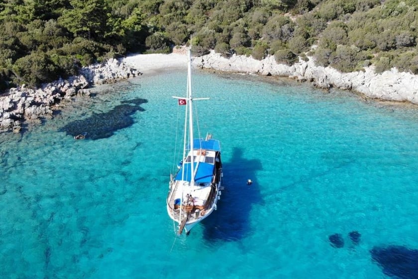 Bodrum Gulet 3 cabin 6 berths 6 guests 15 m Listing Number: #9733 3