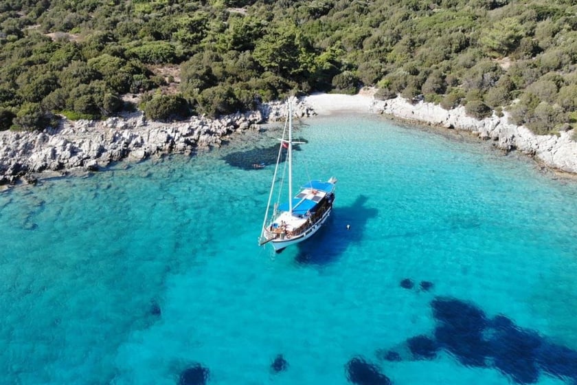 Bodrum Gulet 3 cabin 6 berths 6 guests 15 m Listing Number: #9733 4