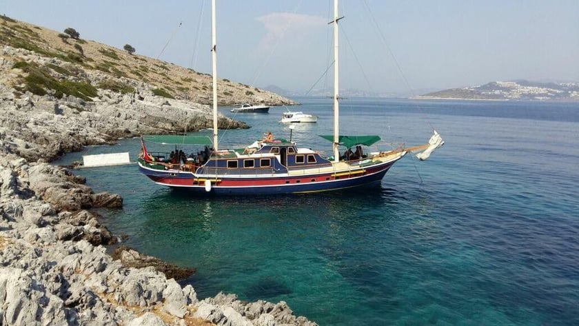 Bodrum Gulet   41 guests 22 m Listing Number: #9826
