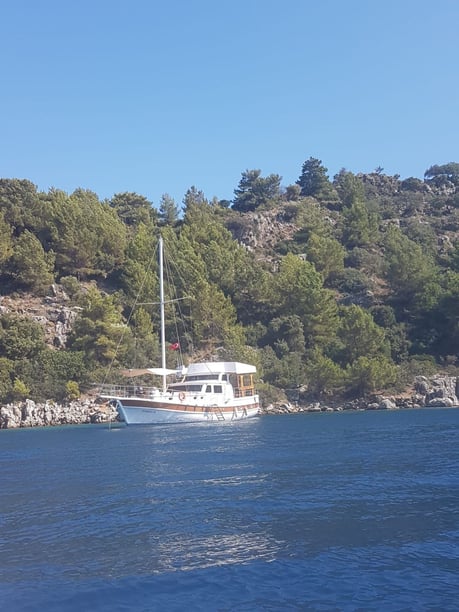 Orhaniye Gulet 4 cabin 8 berths 8 guests 18 m Listing Number: #9953 4