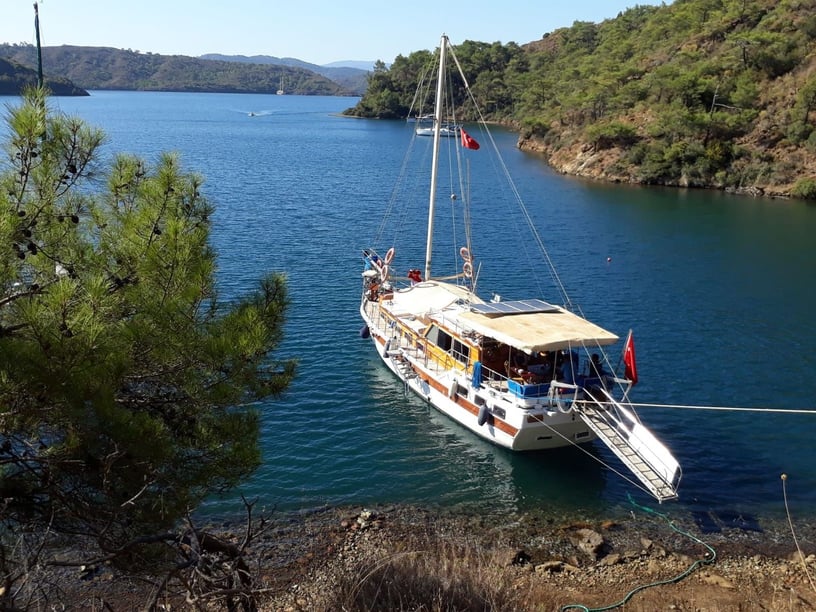 Bodrum Gulet 3 cabin 6 berths 6 guests 16.5 m Listing Number: #9954 4