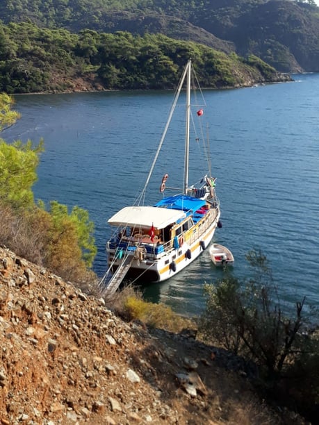 Bodrum Gulet 3 cabin 6 berths 6 guests 16.5 m Listing Number: #9954 5