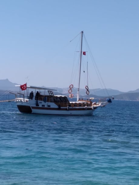 Bodrum Gulet 3 cabin 6 berths 6 guests 16.5 m Listing Number: #9954 3