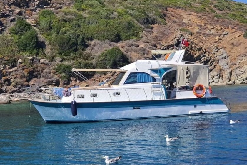Ayvalik Motoryacht   7 Gäste 9.9 m Nummer des Inserats: #10174 2