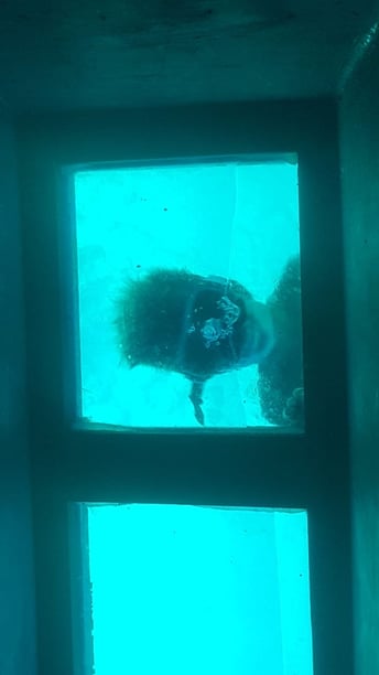 Antalya Gulet   90 guests 24 m Listing Number: #10395 4