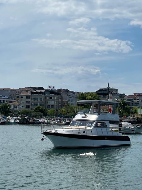Buyukcekmece Yate a motor   12  invitados 11.68 m Número de anuncio: #10865