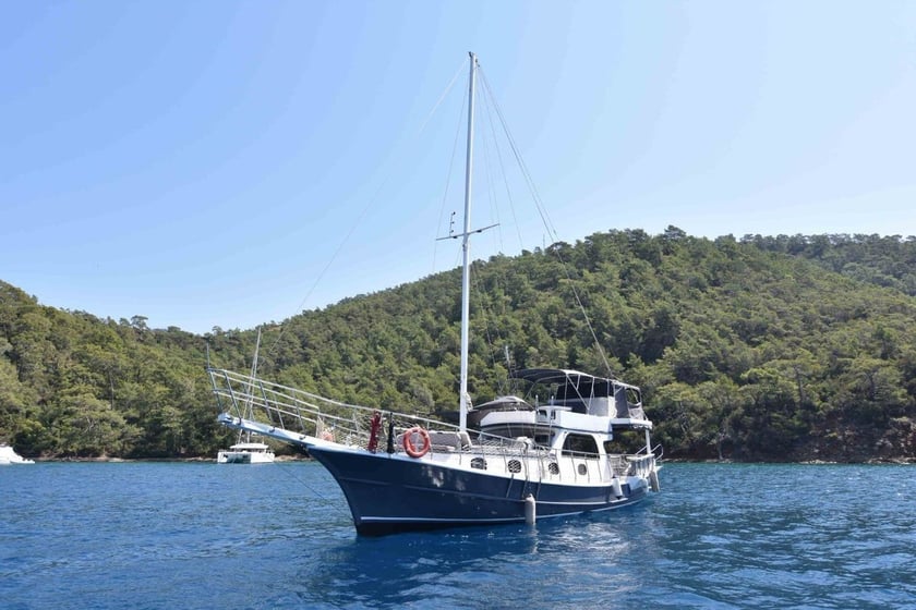 Gocek Gulet Cabine 3  Couchettes 6  Invités 6  15 m Numéro de l'annonce: #10922 4