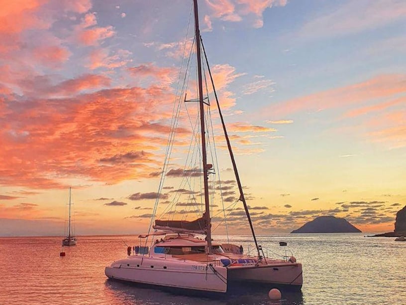 Palermo Catamarán Cabina 4  12  literas 11  invitados 14.15 m Número de anuncio: #11063 3