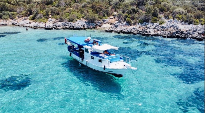 Bodrum Gulet 1 kabin  Seyir 8 kişi 11 m İlan No: #12091