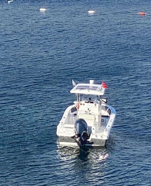 Bodrum Motorboot   5 Gäste 7 m Nummer des Inserats: #12107 5