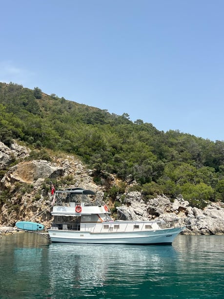 Fethiye Caicco   12  ospiti 12.5 m Numero dell'inserzione: #12722