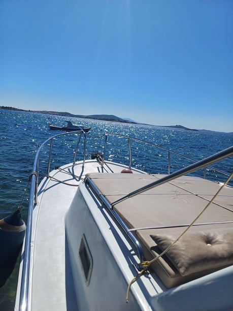 Ayvalik Motorjacht   10  gasten 10 m Lijstnummer: #12968 3