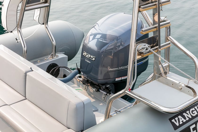 Baiona Bateau à moteur    7.5 m Numéro de l'annonce: #14742 5