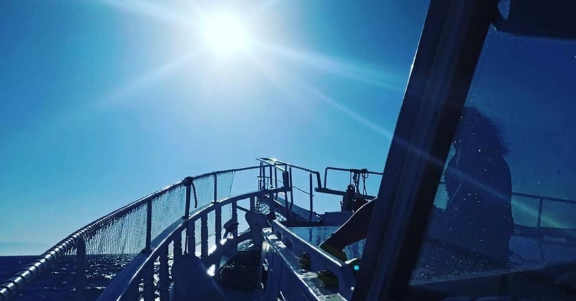 Kusadasi Gulet Cabine 4   45  gasten 20 m Lijstnummer: #18055 5