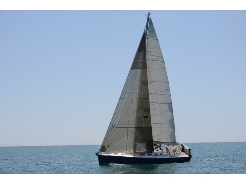 Palamós Voilier Cabine 3  Couchettes 8  Invités 8  12 m Numéro de l'annonce: #18621 3