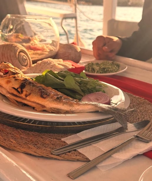 Ayvalik Yate a motor Cabina 1   20  invitados 12 m Número de anuncio: #19150 5