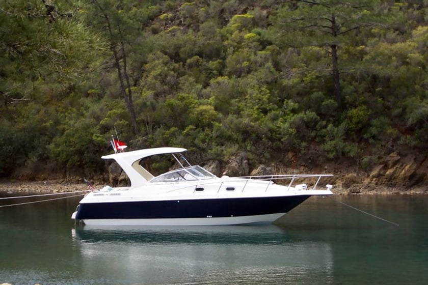 Kadikoy Yacht a motore cabina 2   8  ospiti 9.8 m Numero dell'inserzione: #20152 3