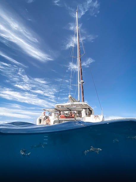 Papeete, Tahiti Catamaran Cabine 4  Couchettes 8  Invités 8  11.33 m Numéro de l'annonce: #21183 5