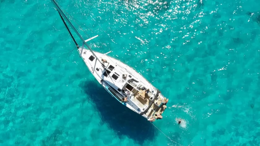 Ibiza Segelboot 3 Kabine 6 Liegeplätze 6 Gäste 11.99 m Nummer des Inserats: #21931 4