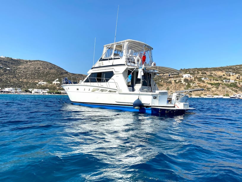 Paros Motoryacht 3 Kabine 8 Liegeplätze 11 Gäste 15.49 m Nummer des Inserats: #22111 4