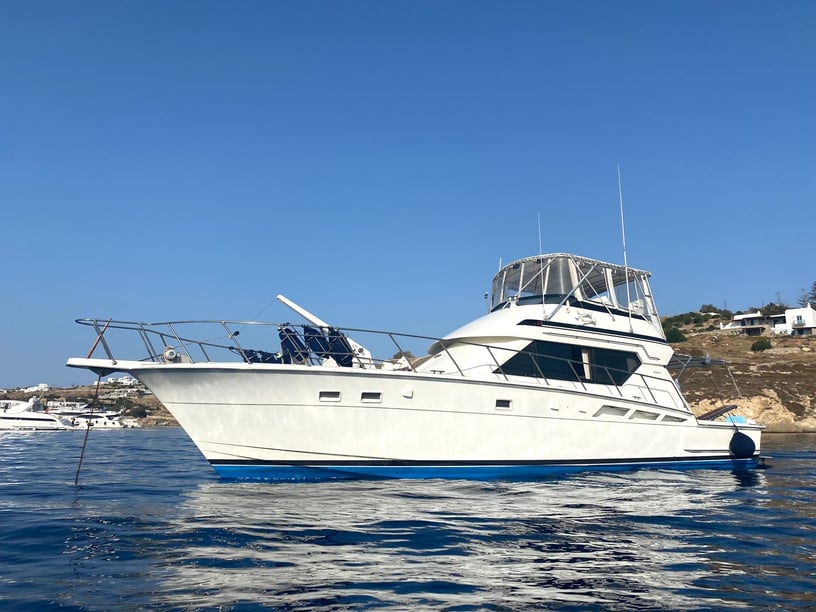 Paros Yacht a motore cabina 4  cuccette 8  8  ospiti 15.49 m Numero dell'inserzione: #22111