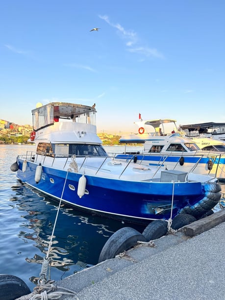 Ayvansaray Yate a motor   10  invitados 13 m Número de anuncio: #22802 3