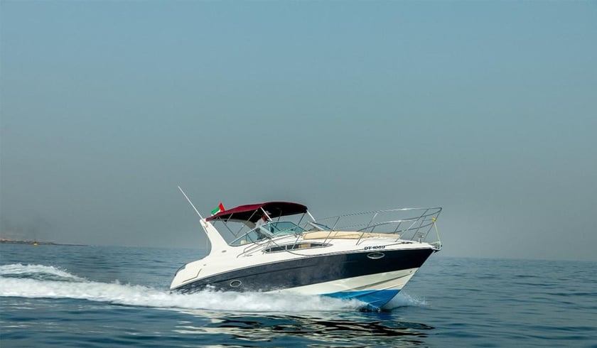 Dubai Motorboat 1 cabin  8 guests 33 ft Listing Number: #23371 3