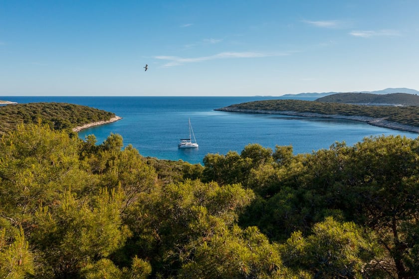 Kaštel Gomilica Catamarán Cabina 5  6  literas 6  invitados 15.35 m Número de anuncio: #23622 3