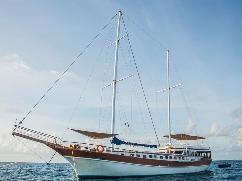 Malé Gulet 6 cabin 12 berths 12 guests 30.48 m Listing Number: #23952