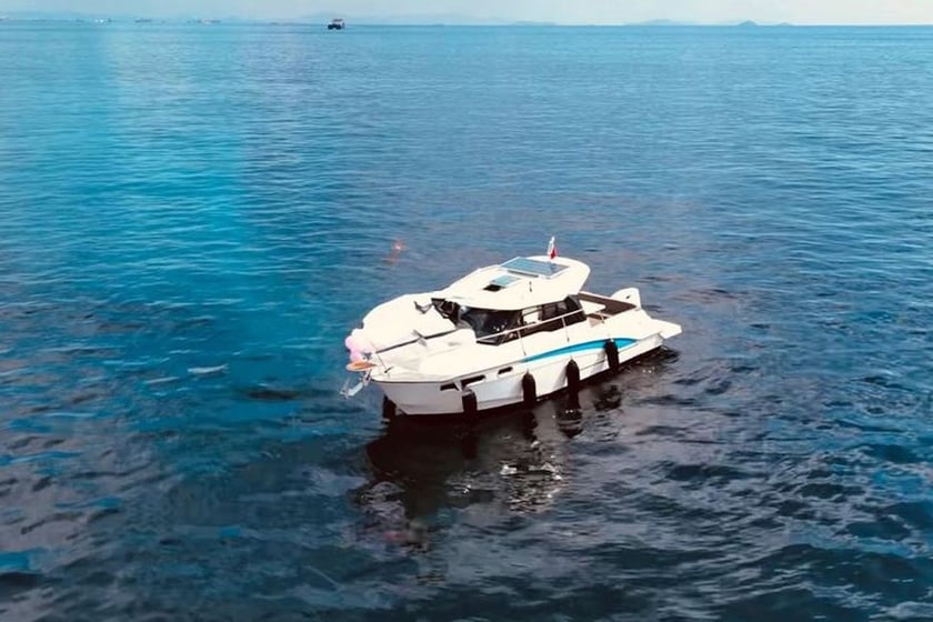 Bakirkoy Motoryacht 4 Kabine  7 Gäste 8 m Nummer des Inserats: #24552 5