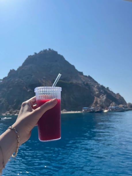 Adrasan Gulet Cabine 1   30  gasten 14 m Lijstnummer: #25337 5