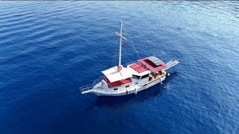 Fethiye Gulet   12  gasten 13 m Lijstnummer: #25709 5