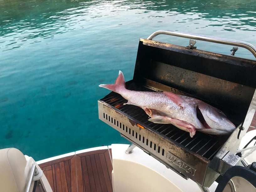 Athens Motorboat 2 cabin 8 berths 10 guests 11.5 m Listing Number: #25894 4