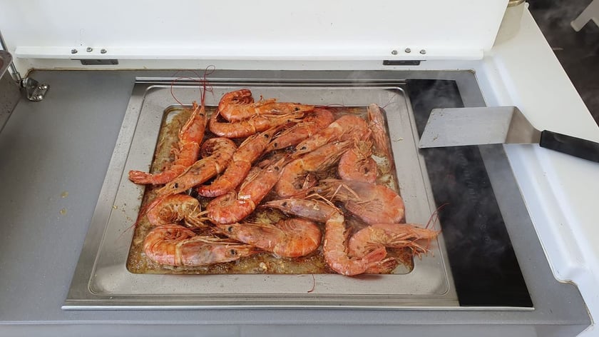 Ajaccio Katamaran 5 kabin Konaklama 10 kişi Seyir 10 kişi 15.84 m İlan No: #26059 3