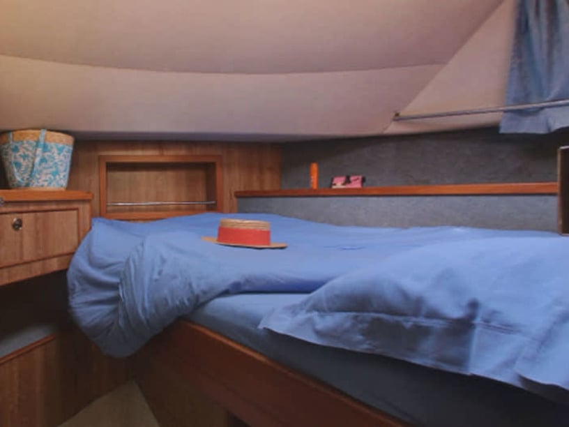 Boofzheim Bateau à moteur Cabine 5  Couchettes 12  Invités 12  14.63 m Numéro de l'annonce: #26140 5