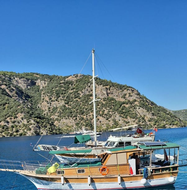 Göcek Caicco cabina 3  cuccette 6  6  ospiti 13 m Numero dell'inserzione: #27161 2