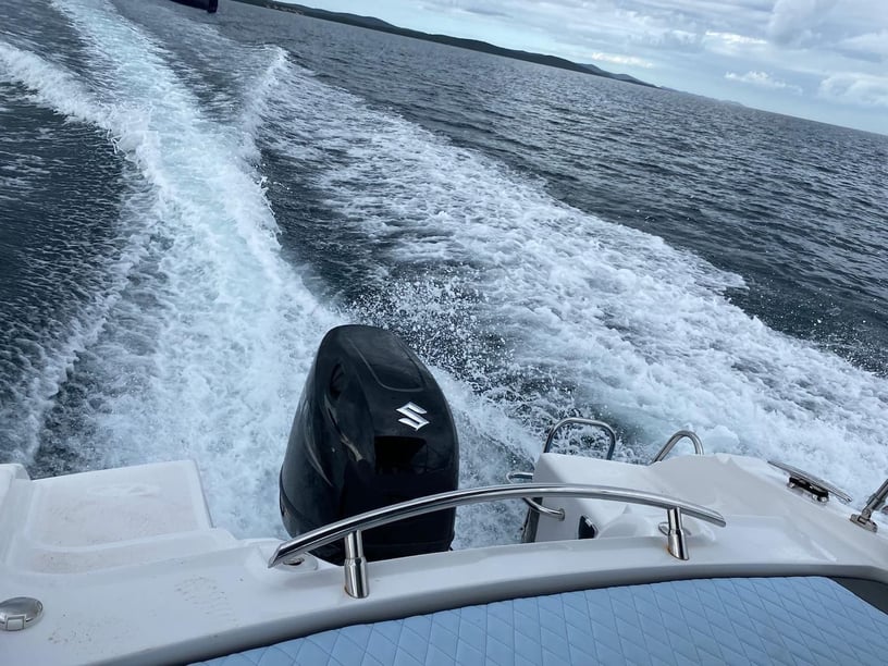 Zara Motoscafo    6.15 m Numero dell'inserzione: #28052 4