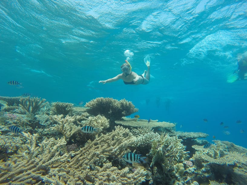 Sharm El Sheikh Motor Yacht 6 cabin 12 berths 12 guests 29 m Listing Number: #28361 4