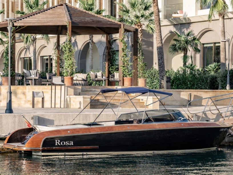 Portonovi Motorboot  1 Liegeplätze 8 Gäste 9.3 m Nummer des Inserats: #28663