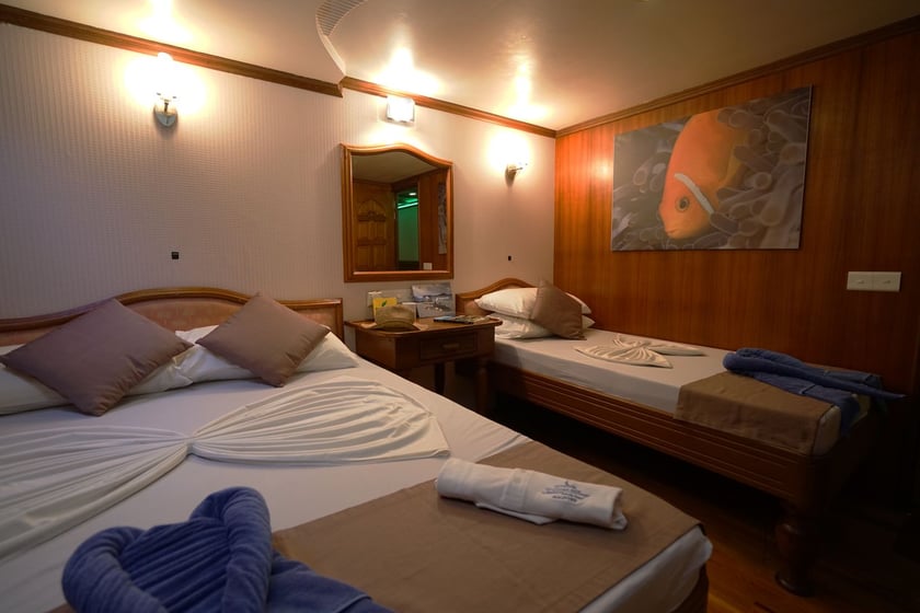 Hulhumale Motoryat 9 kabin Konaklama 22 kişi Seyir 22 kişi 33 m İlan No: #29419 5